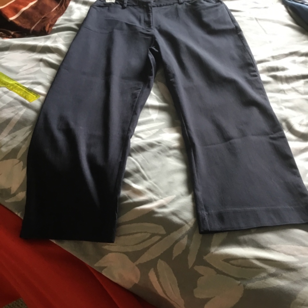 Deep Navy Capris - Picture 2 of 6
